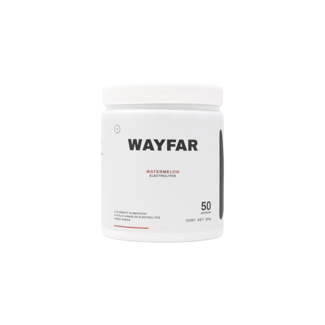 WAYFAR Electrolitos 300 GR