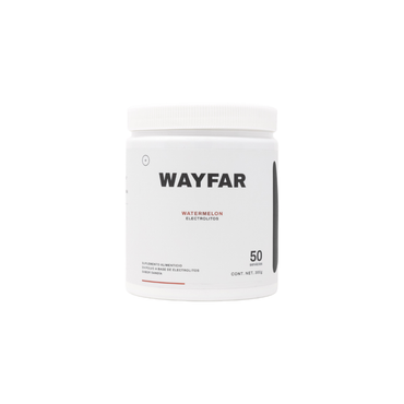 WAYFAR Electrolitos 300 GR