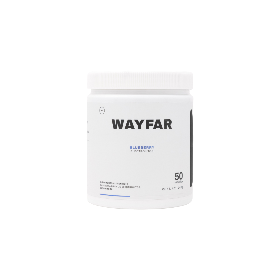 WAYFAR Electrolitos 300 GR