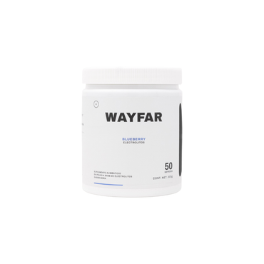 WAYFAR Electrolitos 300 GR