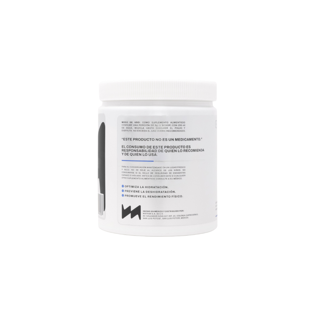 WAYFAR Electrolitos 300 GR