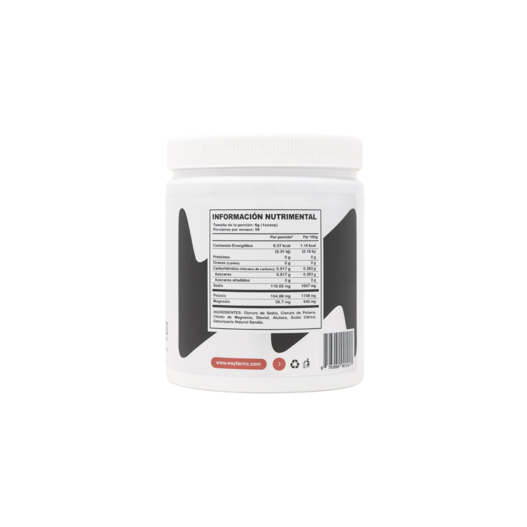 WAYFAR Electrolitos 300 GR